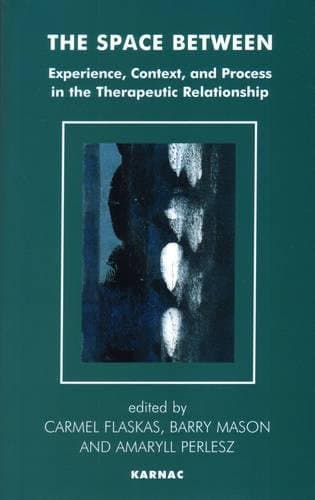 The Space Between: Experience, Context, and Process in the Therapeutic Relationship (The Systemic Thinking and Practice Series)