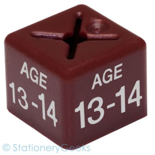 Stationery Geeks 50 Coat Hanger Size Cubes Childrenswear Dual Age 13 - 14 Maroon