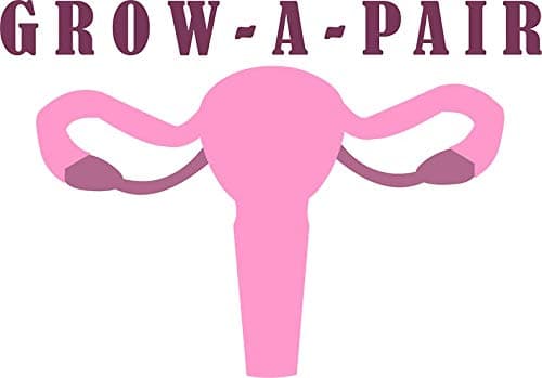 MAGNET Grow A Pair - Ovaries Magnet Decal Fridge Metal Magnet Window Vinyl 5"