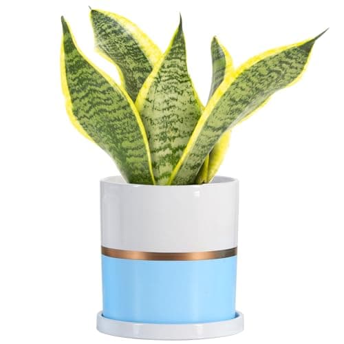Ekirlin 4 inch Plant Pot - Ceramic Flower Planters Indoor - Modern Succulents Containers with Drain Hole Saucer, Decorate Home, Office & Outdoor (Blue)