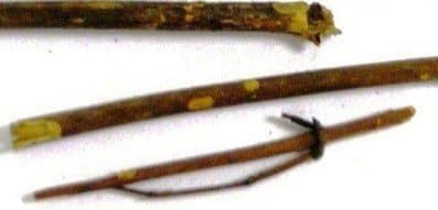 ShubhBhakti - Chirayata - Swertia chirata – Chiretta -50 Gram