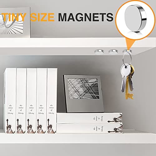 TRYMAG Small Magnets 8x2mm, 300Pcs Small Round Rare Earth Magnets, Tiny Strong Neodymium Disc Magnets for Whiteboard, Fridge, Office, Hobbies, Crafts and Dry Erase Board