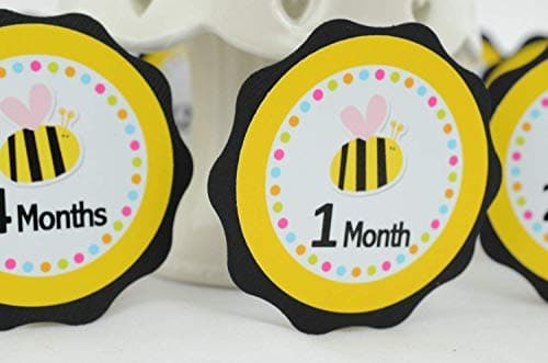 Bee 12 Month Photo Banner, First Year Photo Banner, First Year Banner, Bee Birthday Party, Black, Yellow and Light Pink, c-1173