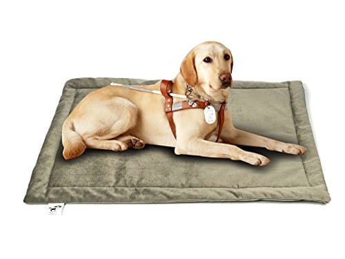 Comforhome Indoor and Outdoor Sleeping Dog Mat Soft Velvet Pad Anti-Slip Machine Washable Dog Bed (40 inch by 27 inch, Red)