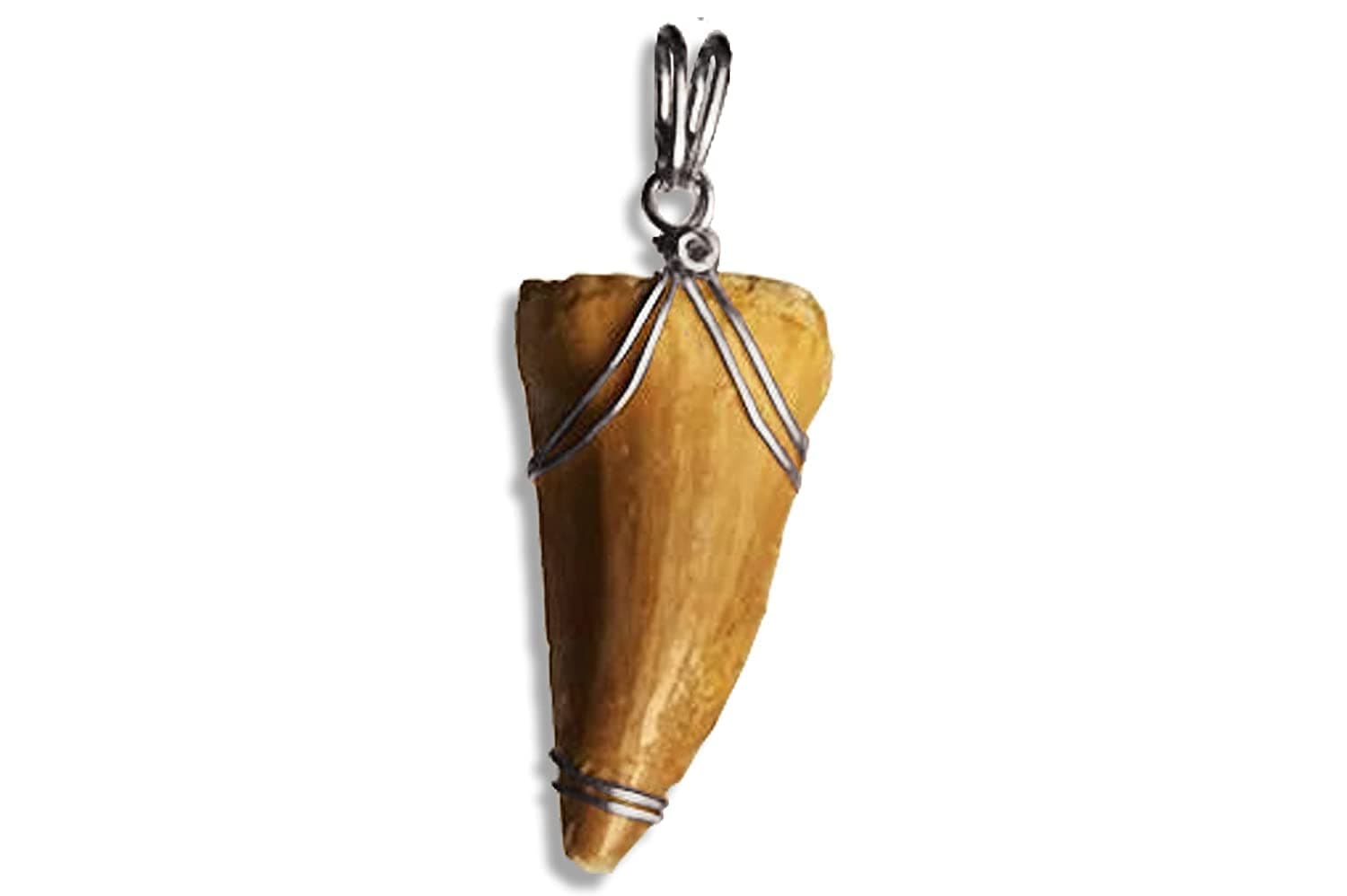 Mosasaurus Tooth Pendant in Stainless Steel, Real Dinosaur Mosasaur Fossil Pendants, Dino Jewelry, mosasaur tooth fossil Mosasaur necklace