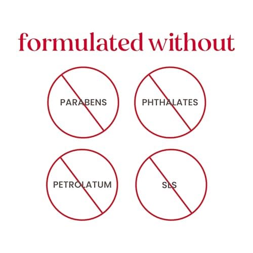 Burt's Bees 100% Natural Moisturizing Lip Balm, Pomegranate, 4 pcs