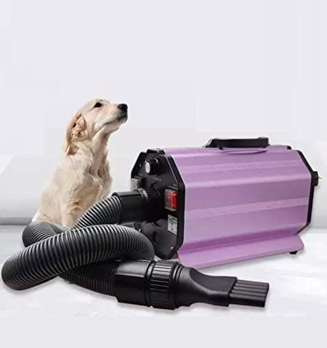 Pet Dryer, 2800W Adjustable Speed Pet Hair Dryer Dog Grooming Dryer Blower with Heater, Low Noise High Velocity Air Forced for Pets (Colour May Vary) Professional High Power