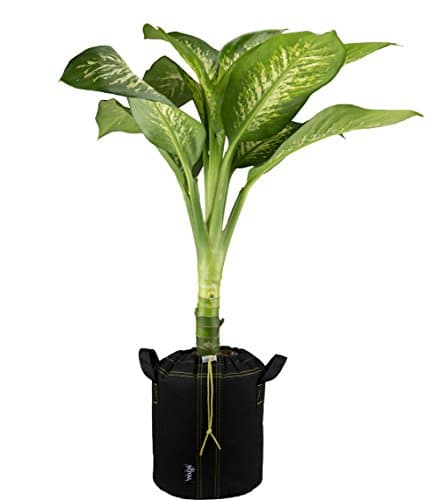 Royal Pots | Fabric Grow Bags with Handles and Drawstring | 3 Gallon | 5 Pack | Black