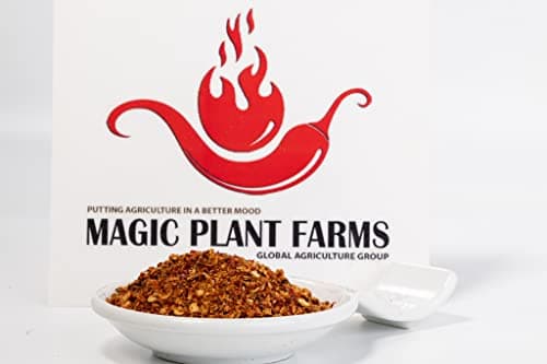 Chocolate Carolina Reaper Pepper Flakes by Magic Plant - 1 Kg Bulk - Extremely Hot Rare Chili Strain 2M SHUs |Fruity with Smoky Hints| Fiery Kick to Meats, BBQ, Desserts