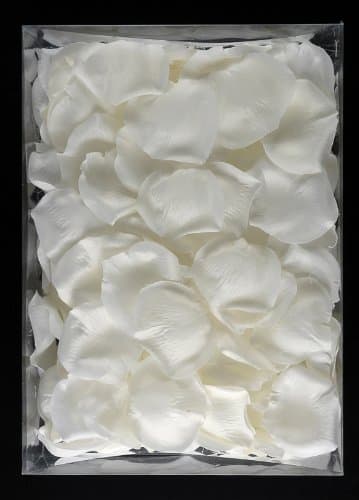 6000 Fresh White Rose Petals - Fresh Rose Petals Delivery