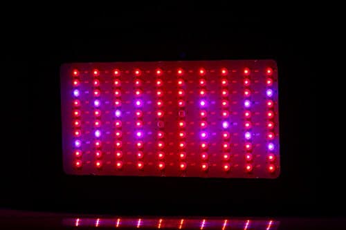 Greatlux® New 300w Hydroponic LED Grow Light Plant Grow Lights 100x3w Growing Lamp for Garden/ Greenhouse/indoor Growing in Full Spectrum Growing Combination