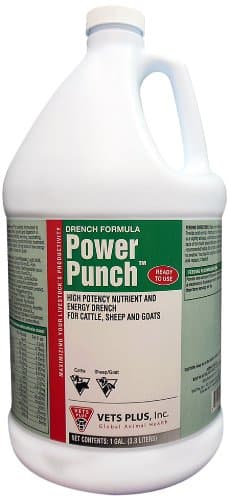 Vet's Plus Power Punch, Energy Drench, Gallon
