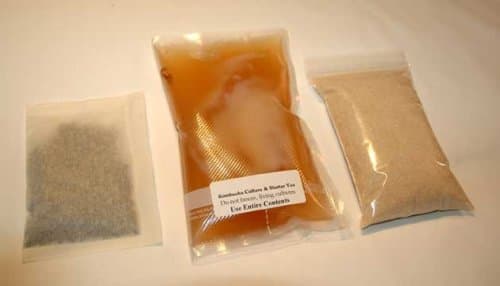 Organic Kombucha Culture - Deluxe Kit plus 1/4 lb organic green tea