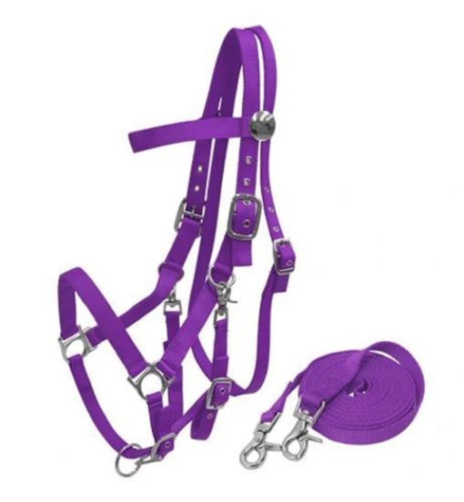 Heavy Duty Soft Nylon Horse Size Halter Browband Bridle Combo Trigger Snaps Cheeks & Reins (Purple)