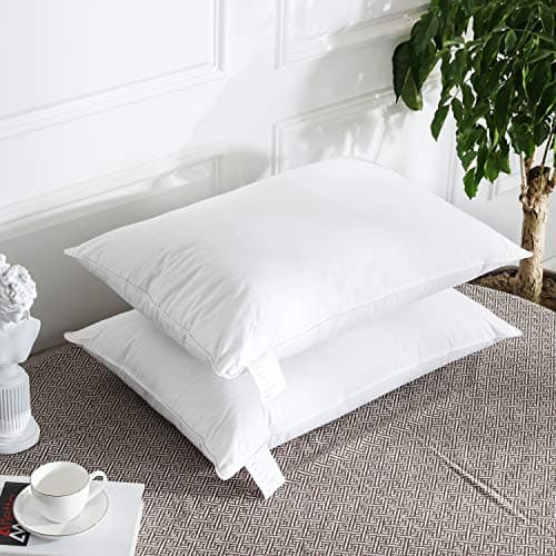 WENERSI Goose Down Pillow(Queen Size,2 Pack),White Down Feather Pillows for Sleeping-20x28Inches,1200 Thread Count 100% Egyptian Cotton Fabric