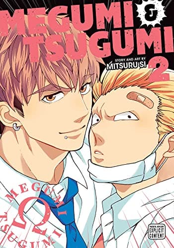 Megumi & Tsugumi, Vol. 2 (Volume 2)