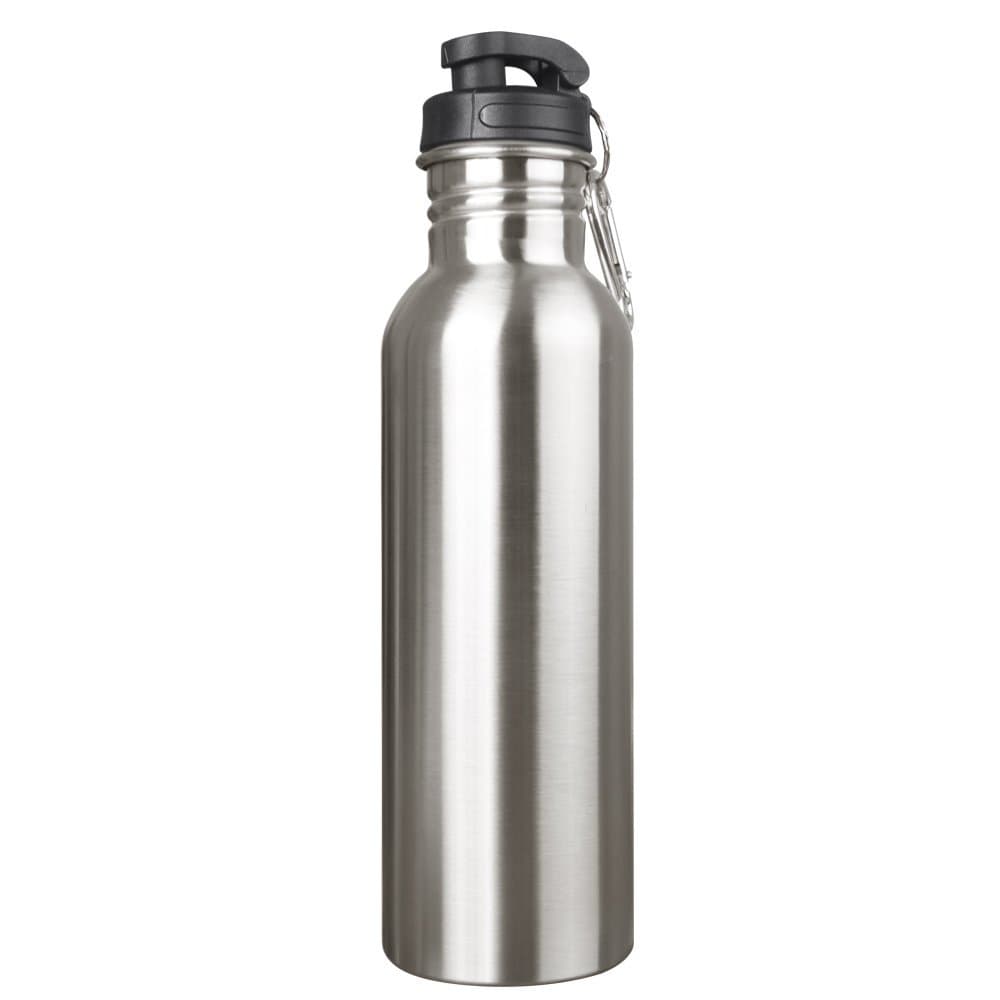 Sahara Sailor Stainless Steel Water Bottle W Carabiner Clip, 28 Oz