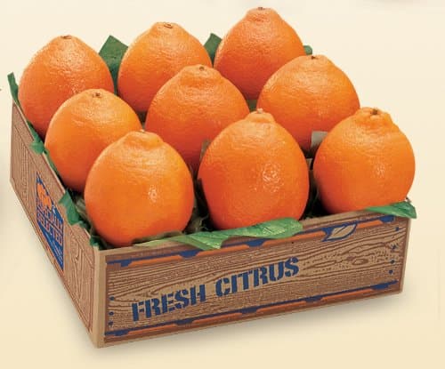 Honeybell Tangelos-1 tray