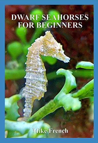 Dwarf Seahorses For Beginners Kindle Edition