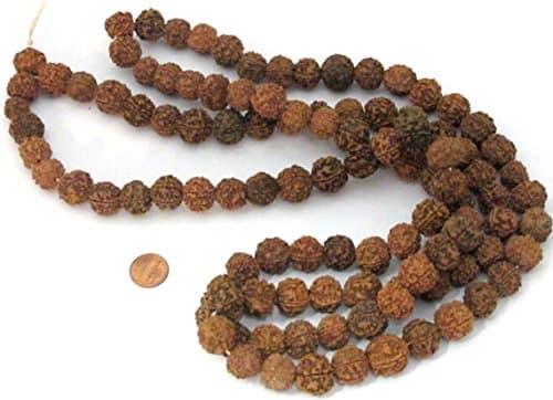 25 beads - Extra Large size 16 mm to 18 mm size natural rudraksha beads from Nepal - ML044BS