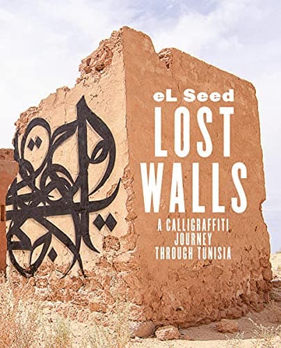 Lost Walls: Graffiti Road Trip through Tunisia Paperback – June 1, 2014