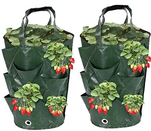 2 Pack Hanging Planter Grow Bag Plant Pouch Strong Fabric Pots Plant Grow Bag for Planting Pouch Tomato Strawberry Flower Herb 35x20cm