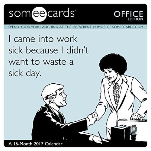 Someecards - Office Mini Wall Calendar (2017) by Day Dream (2016-07-01)