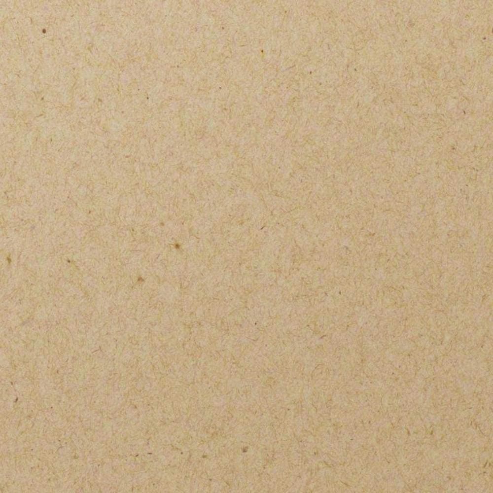 ENVIRONMENT Desert Storm Paper - 8 1/2 x 11 in 24 lb Writing Smooth 100% Recycled Watermarked 500 per Ream by Neenah Paper ENVIRONMENT
