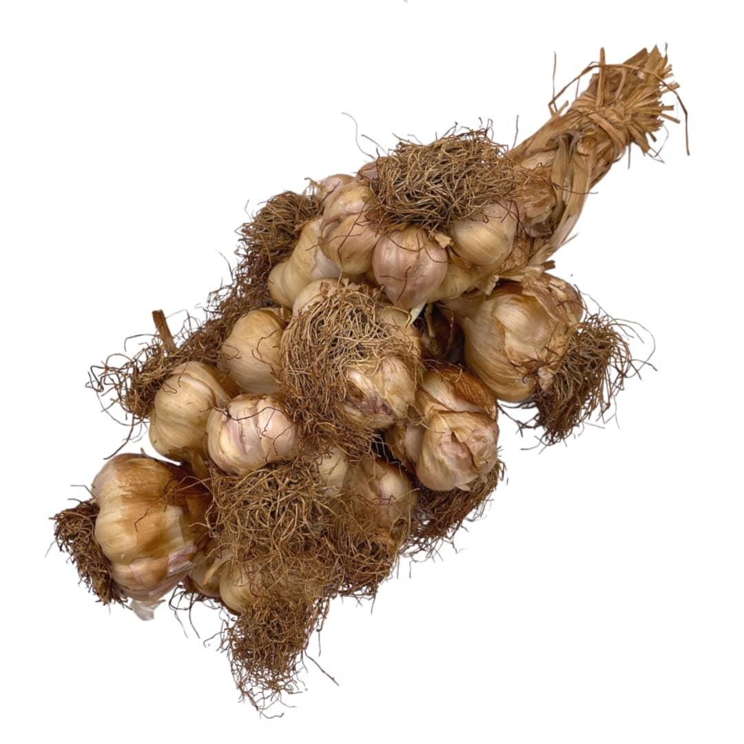 String of Smoked Garlic
