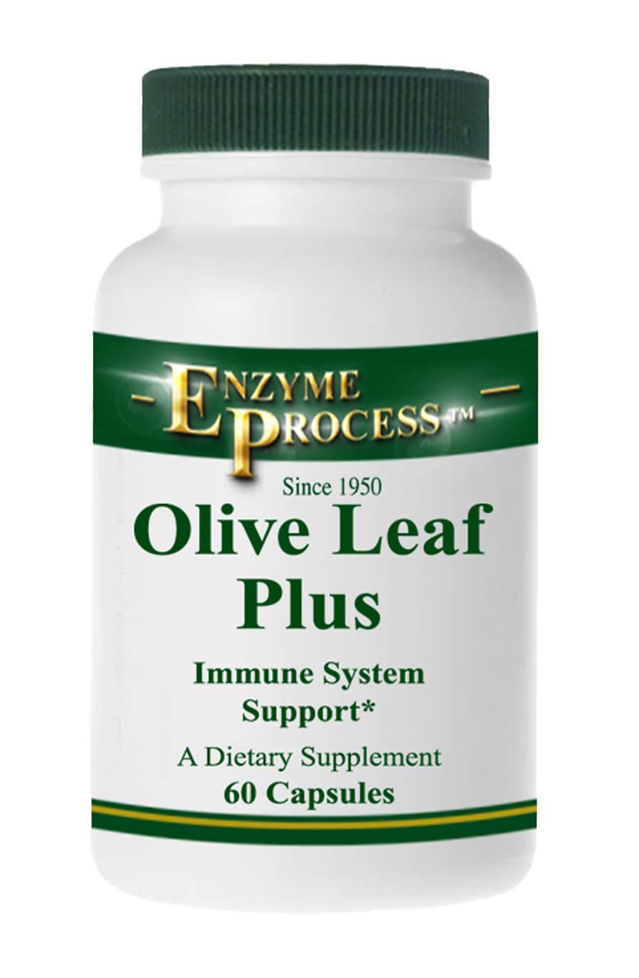 Enzyme Process - Olive Leaf Plus - Herbal Supplement - Immune System Support (60 Capsules)