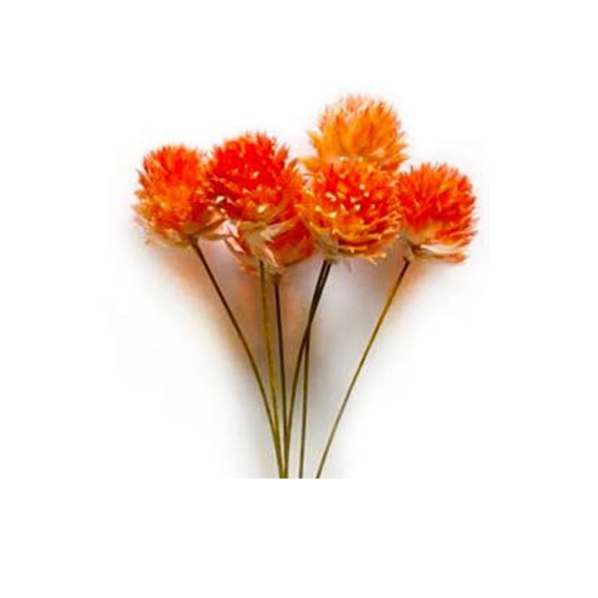 Wall-Mounted Flower Tube for Flower Display, Wall Metal Vase Decoration Holder(Adhesive Material Included) (Gold)