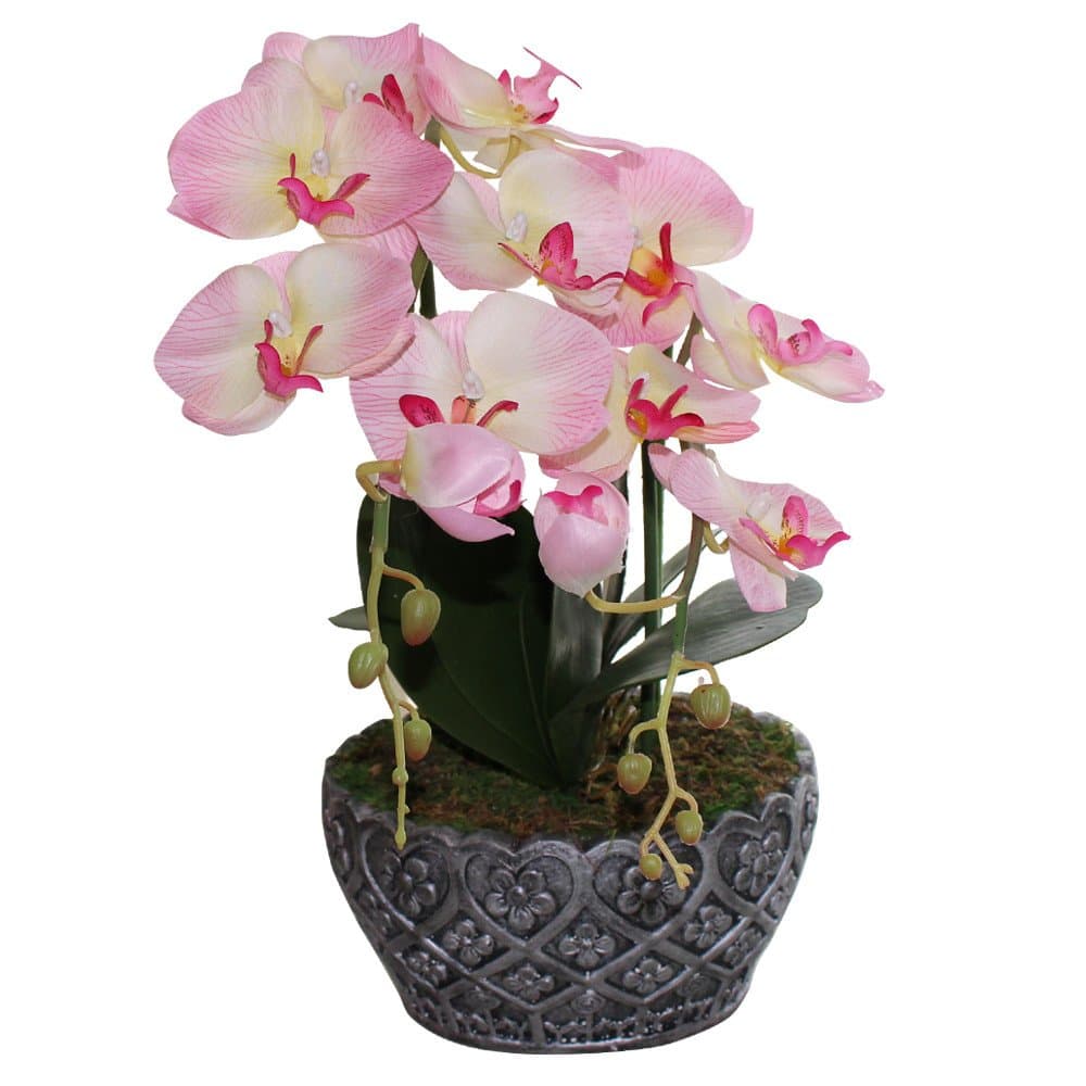 Huazhiwu 19" Silky Phalaenopsia Artificial Orchid Arrangements With Decorative Pot 3313, Pink