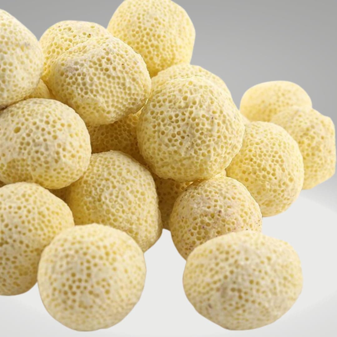 Premier Plants High Porus Ceramic Balls Filter Media For Aquarium Filtartion(500G)