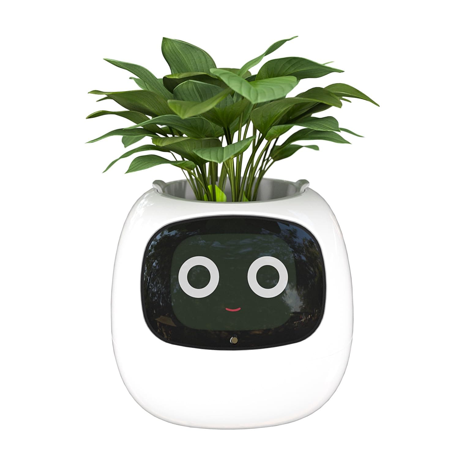AMPULLA Ivy - Smart Flowerpots, Endless Fun Over 70 Rich Expressions, 7 Smart sensors, and AI Chips Make Raising Plants Easy and Fun. (White)
