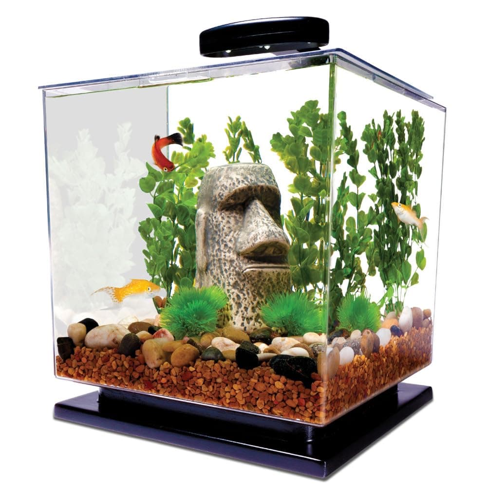 Tetra 29095 Cube Aquarium Kit, 3-Gallon by Tetra