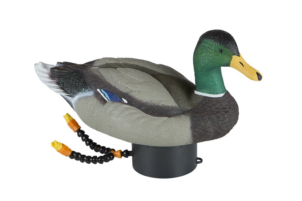 Lucky Duck Super Swimmer