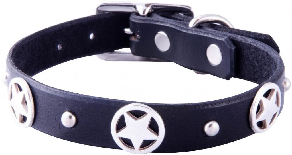 "Tween Boodles - Handmade Leather Medium-Small Dog Collar- 3/4" Wide - Brass - Black 12"-14"