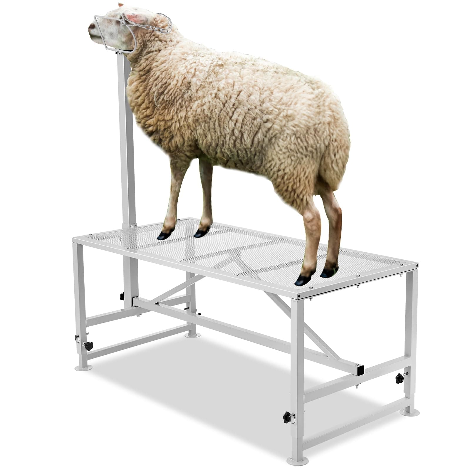 Happybuy Goat Stand for Sheep and Goats, 51x23 Large Size Premier Horned Livestock Stand – Premium Sheep Milking and Shearing Stands with Adjustable and Durable Headpiece, Height Adjustable
