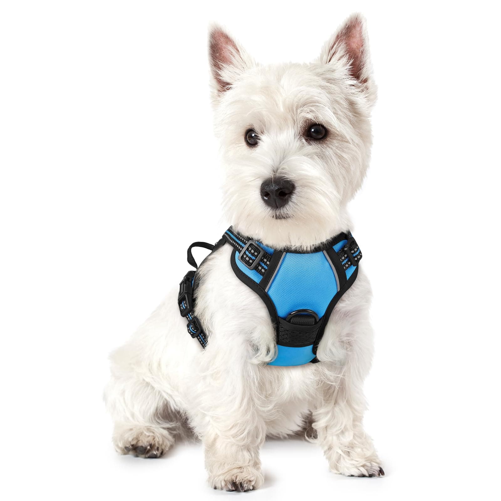 rabbitgoo Dog Harness Small Dog No Pull Pet Harness with 2 Leash Clips, Adjustable Soft Padded Pet Vest Harness, Reflective No-Choke with Easy Control Handle for Training or Walking, Baby Blue, XS