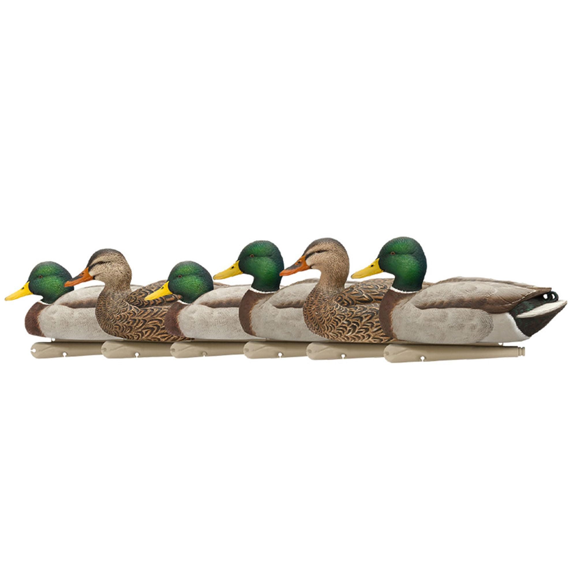 Avian-XTopflight Open Water Duck Durable Realistic Hunting Floating Mallard Decoys, Pack of 6, AVX8060