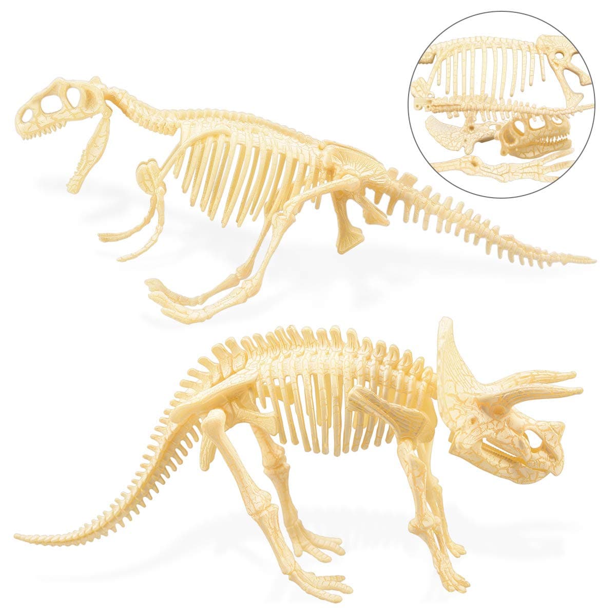 Dinosaur Skeleton, 2Pcs 4D Dinosaur Fossil Skeleton Toys DIY for Kids Fossil Skeleton Figure