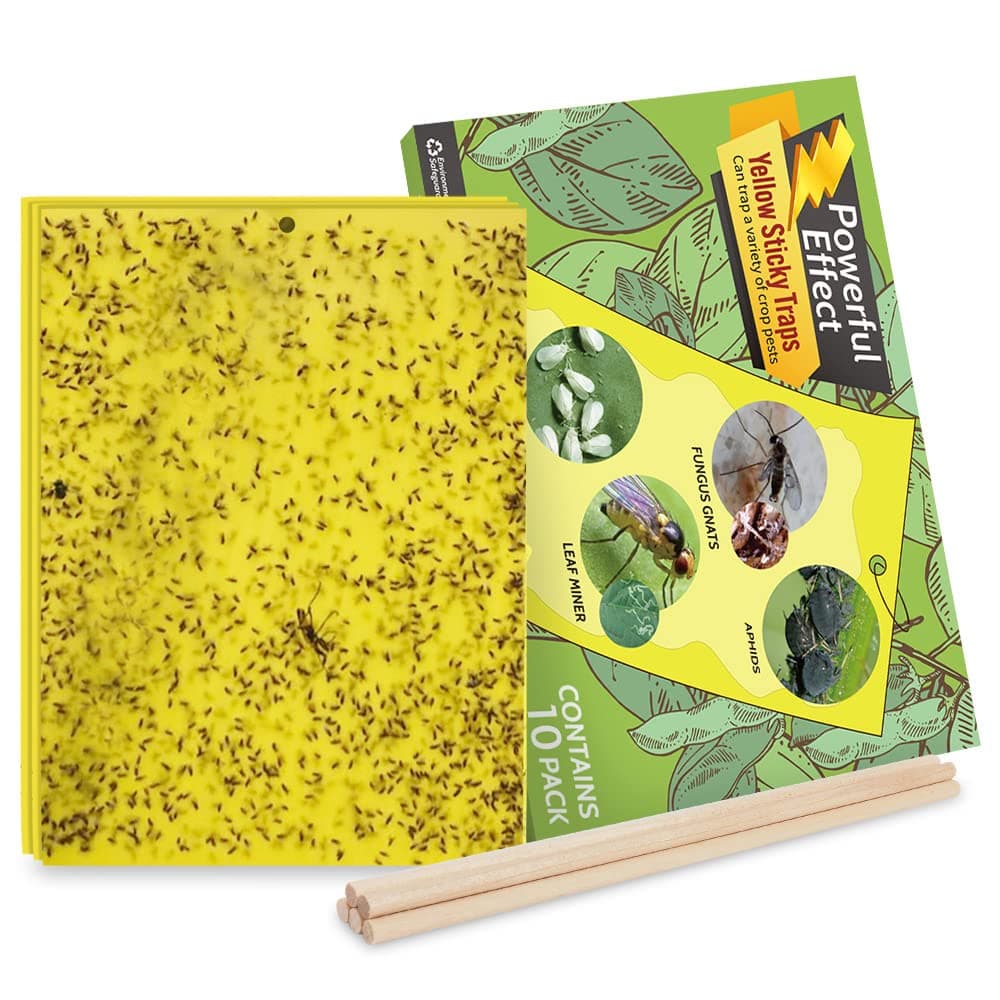10-Pack Fruit Fly Trap, Yellow Sticky Gnat Trap Killer for Indoor/Outdoor Flying Plant Insect Like Fungus Gnat, Whiteflies, Aphids, Leaf Miners - 6x8 in, Twist Ties Included
