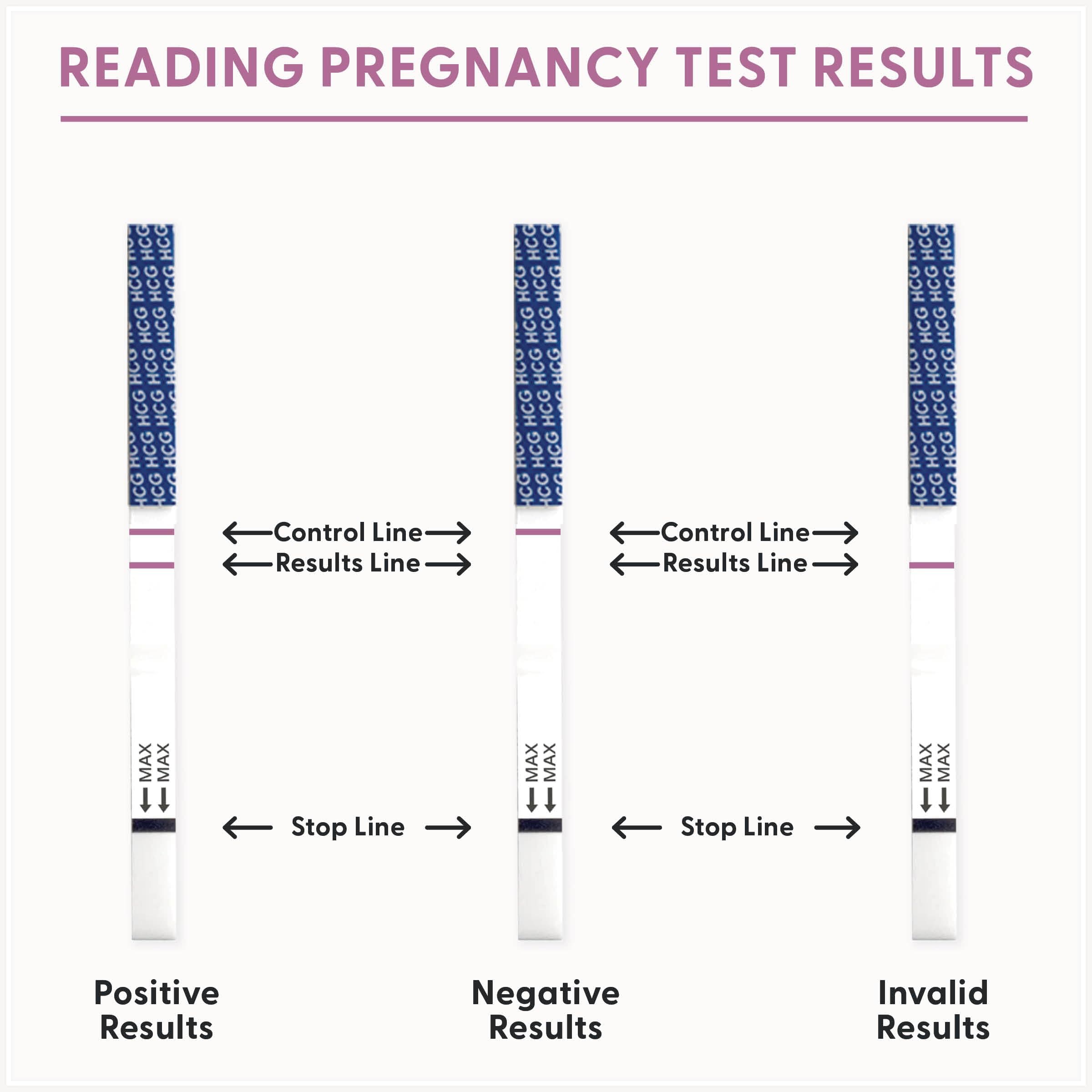 Fairhaven Health, BFP, Ovulation & Pregnancy Test Strips For Trying-To-Conceive Women, 40 Ovulation & 10 Pregnancy Tests