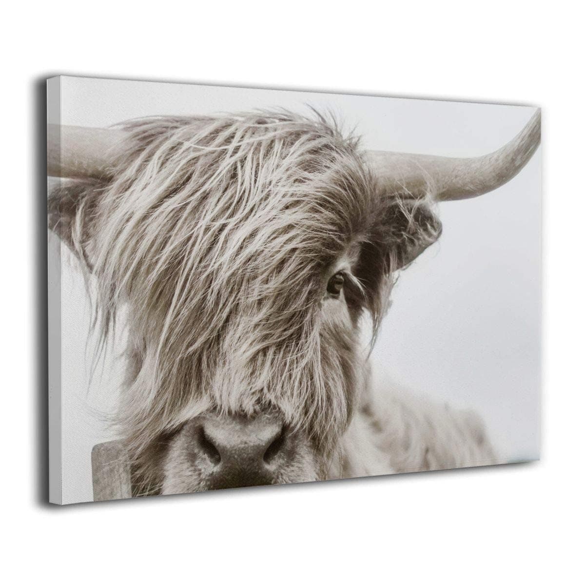 Hd8yehao Freedom Highland Cow Pictures Canvas Wall Art Farmhouse Prints Photo Contemporary Cow Decor Paintings Home Decoration Giclee Artwork Wood Frame Gallery Wrapped 16"x20"