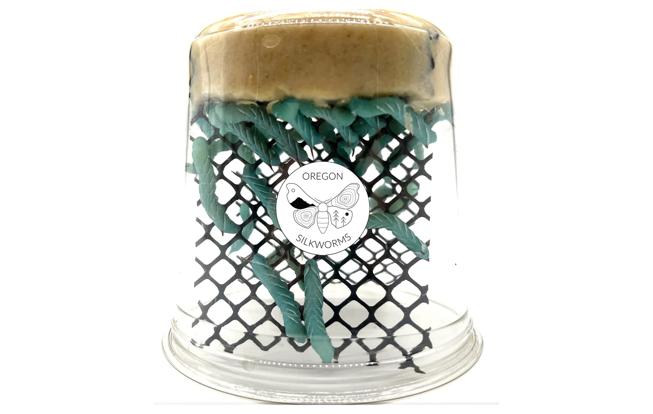 Premium Hornworm Habitat - 26-35+ Count per Cup | Nutrient-Rich Feed for Bearded Dragons, Geckos & Other Reptiles | Ensured Healthy Arrival