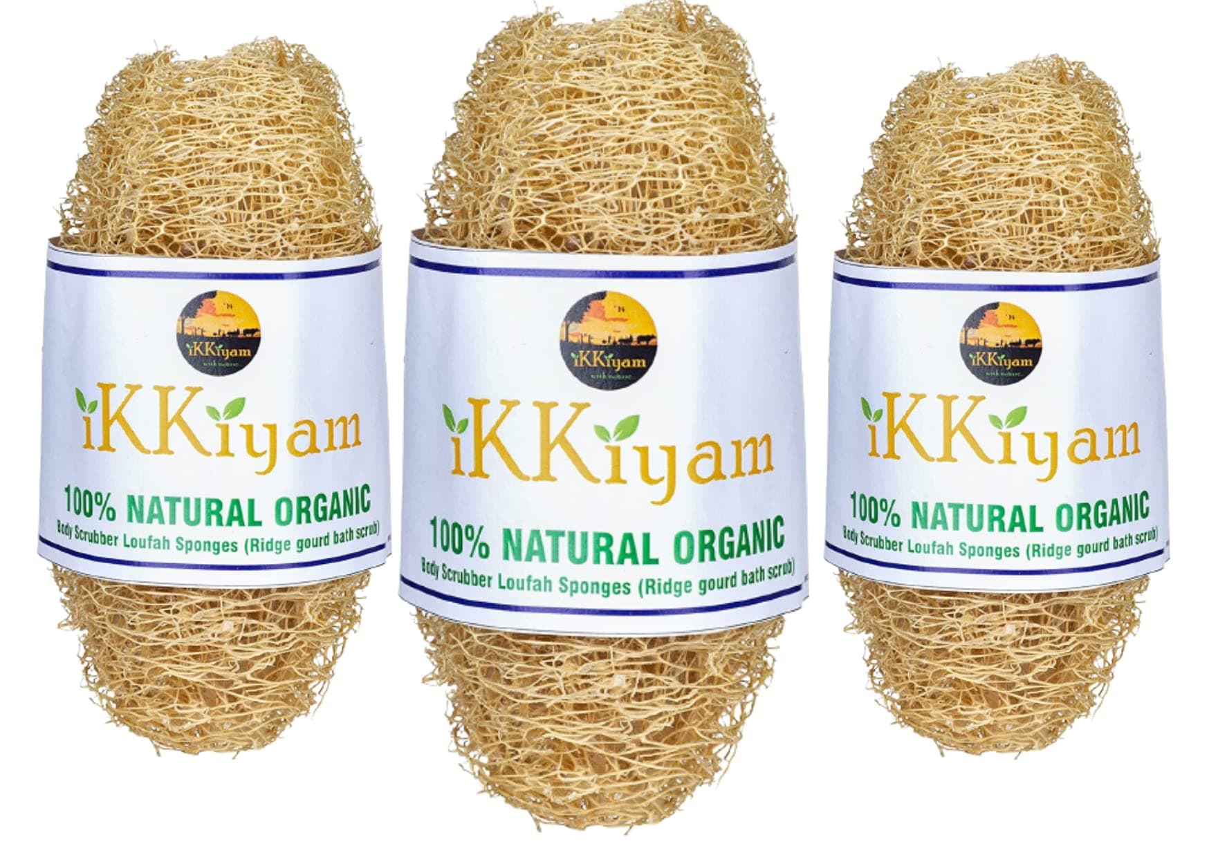 Ikkiyam Loofah Ridge Gourd Bath Scrub (Peerkangai Bath Scrub)| Soft and Gentle Body Scrubber Loofah Sponges | Soothing Body Exfoliater |Biodegradable and Eco-friendly Natural Scrubber | Pack of 3