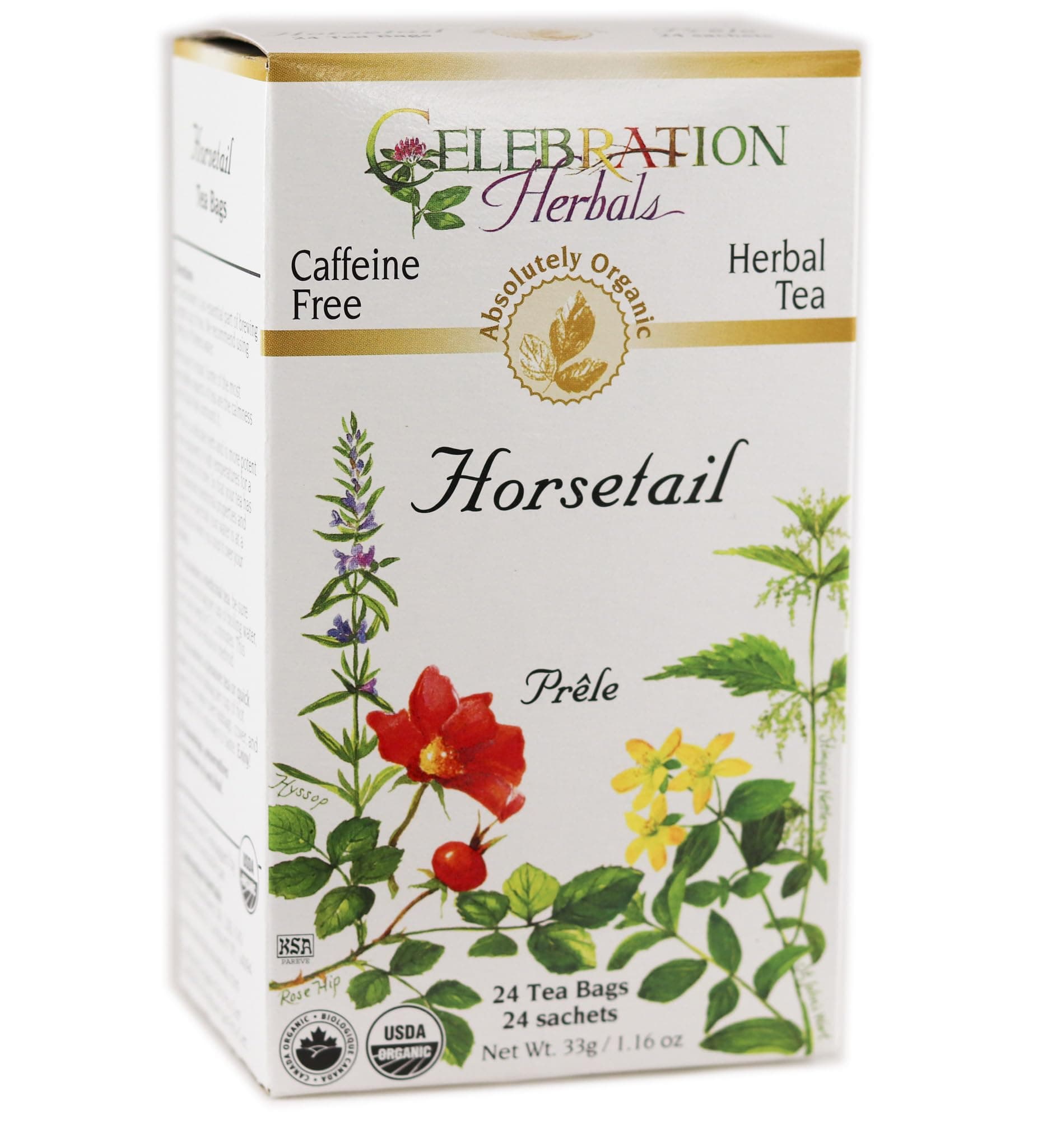 Horsetail Tea Organic 24 Bag, 0.02 Pound