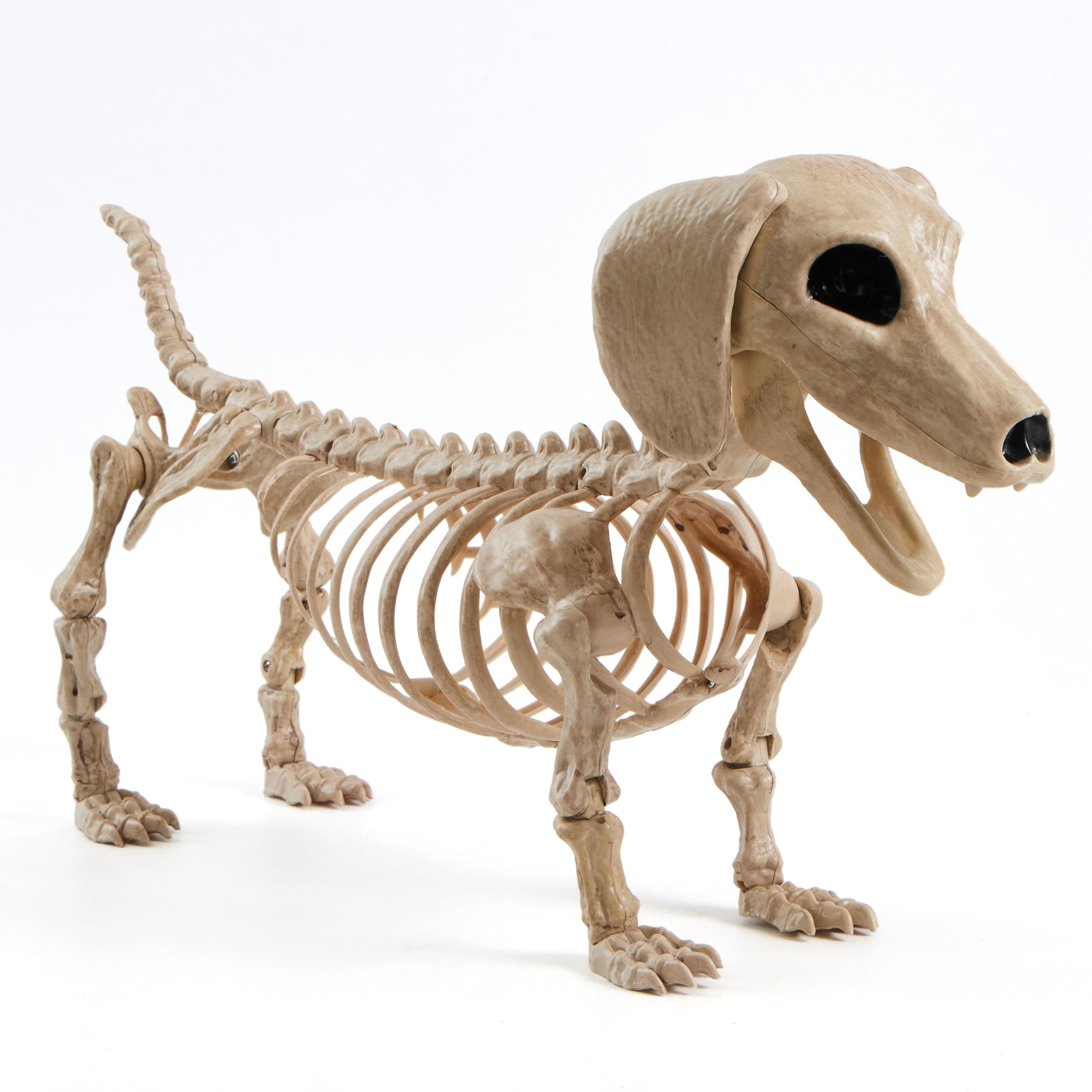 JOYIN Wiener Dog Skeleton 24” Plastic Animal Posable Skeleton Halloween Decorations with Movable Joints for Graveyard Scenes Haunted House Prop Party Decor Spooky Indoor Outdoor Decorations