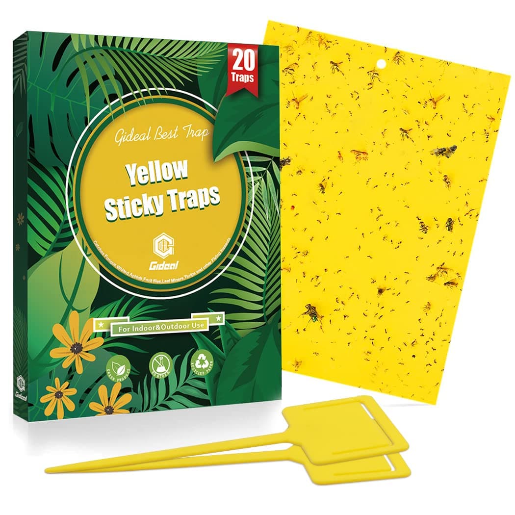 Gideal Dual-Sided Yellow Sticky Traps for Flying Plant Insect Such as Fungus Gnats, Whiteflies, Aphids, Leafminers,Thrips
