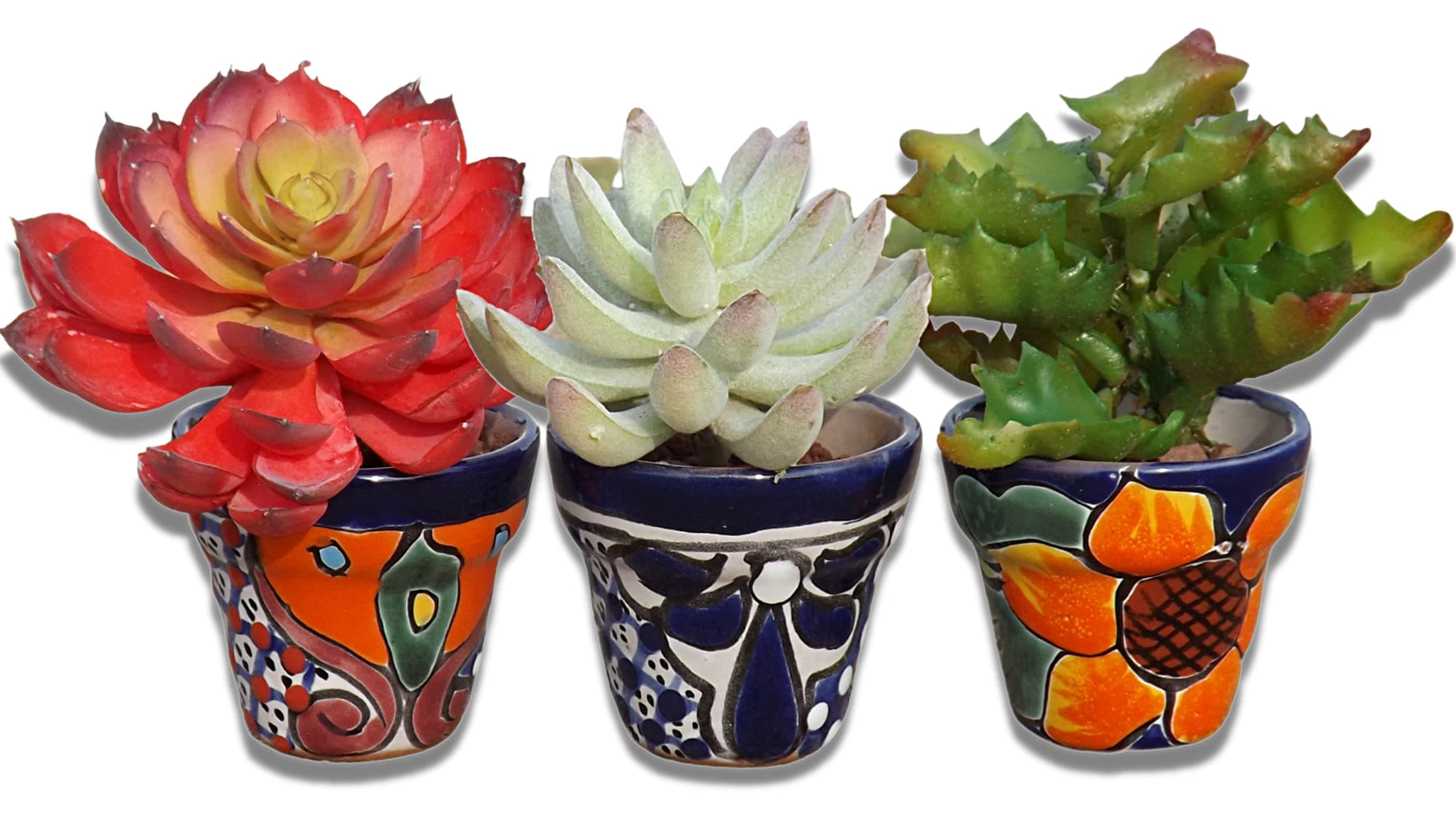 Talavera Hand-Painted Flower Pots (Set of 3) - 3" Garden Party Design - Authentic Mexican Pottery Planters for Succulents